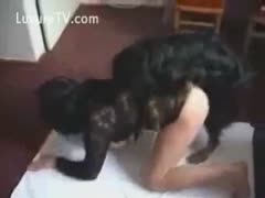 Thick brunette hair college wench getting fucked by an brute